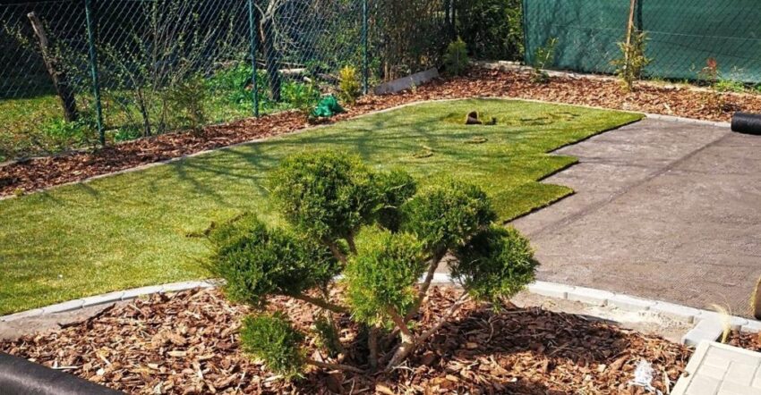 Professzionális kertépítés Esőmesterrel